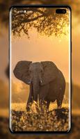 Elephant Wallpaper imagem de tela 2