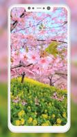 Spring Wallpaper اسکرین شاٹ 3