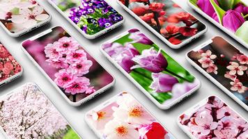 Spring Wallpaper پوسٹر