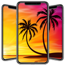 Palm Tree Wallpapers APK