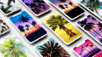 Palm Tree Wallpapers Affiche