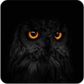Black Wallpaper
