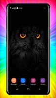 Black Wallpaper poster