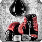 Boxing Wallpapers آئیکن