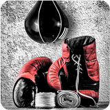 Boxing Wallpapers icône