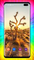 Desert Wallpaper ảnh chụp màn hình 1