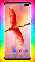 Flamingo Wallpaper ポスター