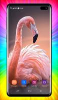 Flamingo Wallpaper スクリーンショット 1
