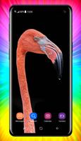 Flamingo Wallpaper スクリーンショット 2