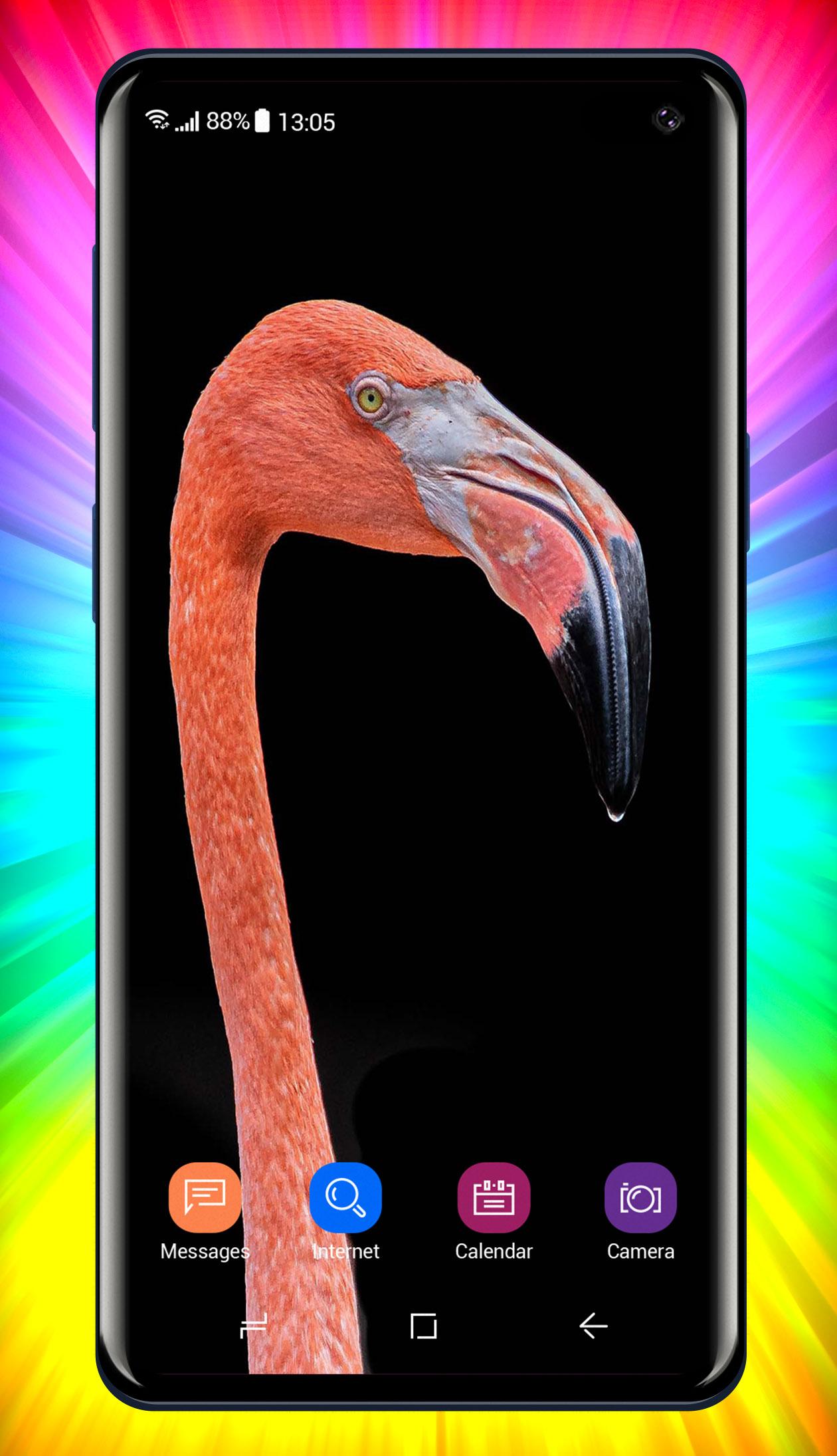 Flamingo Wallpaper For Android Apk Download Flamingo Wallpaper For Android Apk Download