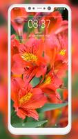 Lily Wallpaper স্ক্রিনশট 3