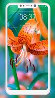 Lily Wallpaper স্ক্রিনশট 1
