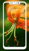Lily Wallpaper স্ক্রিনশট 2