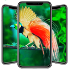 Bird Wallpaper আইকন