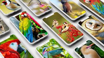 Bird Wallpaper পোস্টার