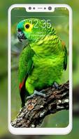 Bird Wallpaper স্ক্রিনশট 1