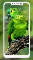 برنامه‌نما Bird Wallpaper عکس از صفحه