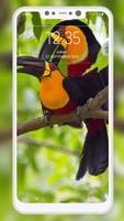 Bird Wallpaper স্ক্রিনশট 2