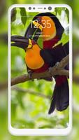 Bird Wallpaper syot layar 2