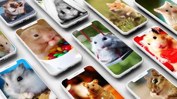 Hamster Wallpapers Affiche