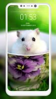 Hamster Wallpapers स्क्रीनशॉट 2
