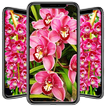 Orchid Wallpaper