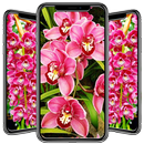 Orchid Wallpaper APK