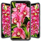 Icona Orchid Wallpaper