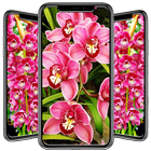 Orchid Wallpaper icon