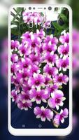 برنامه‌نما Orchid Wallpaper عکس از صفحه