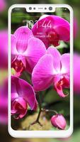 برنامه‌نما Orchid Wallpaper عکس از صفحه