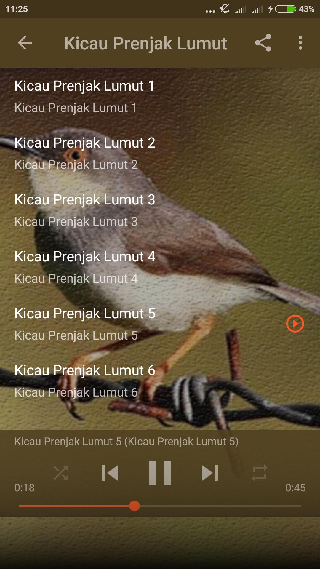 Kicau Burung Prenjak Lumut Gacor For Android Apk Download
