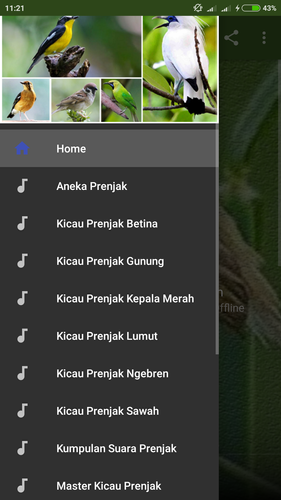 Suara Burung Prenjak Betina Pikat Apk 1 0 Download For Android