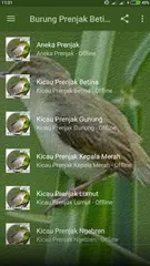 Descargar XAPK de Suara Prenjak Betina Pikat