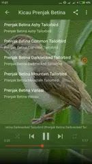 Descargar XAPK de Suara Prenjak Betina Pikat