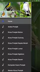 Descargar XAPK de Suara Prenjak Betina Pikat