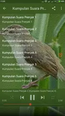 Descargar XAPK de Suara Prenjak Betina Pikat