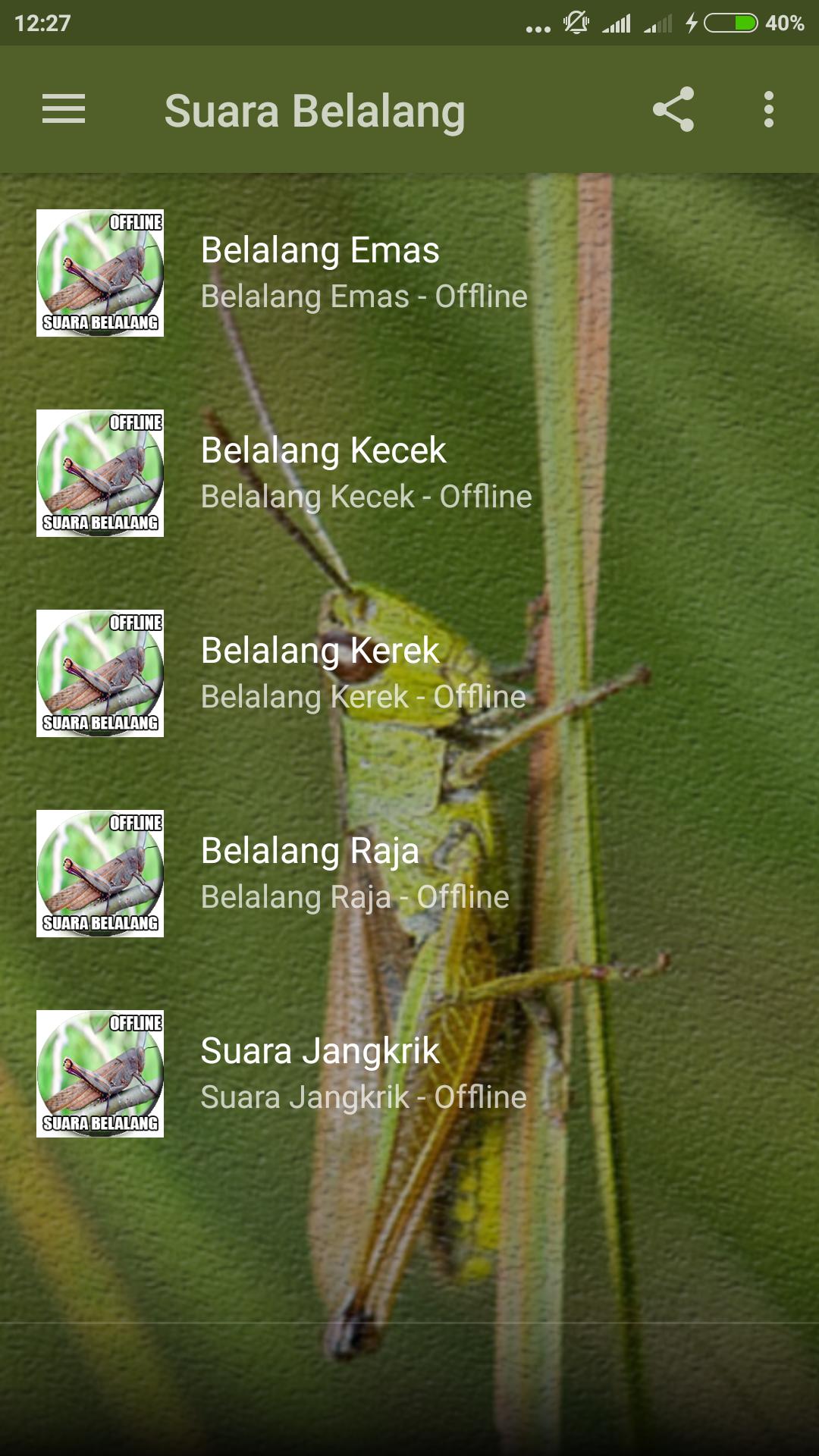 Suara Belalang for Android - APK Download