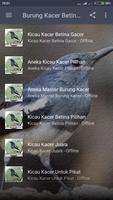 Suara Burung Kacer Betina Mp3 screenshot 1