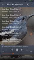 2 Schermata Suara Burung Kacer Betina Mp3