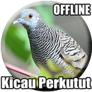 Suara Burung Perkutut Lokal Mp3 APK