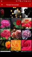 Rosas y flores syot layar 1