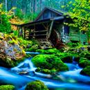 Fondos de Pantalla HD APK