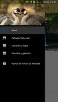Fondos de Pantalla পোস্টার