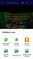 Perdón amor frases Ekran Görüntüsü 3