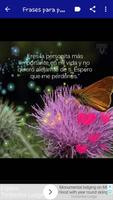 Perdón amor frases gönderen