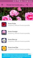 Rosas Para Ti poster