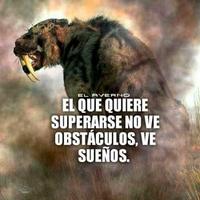 Gym frases diarias capture d'écran 3