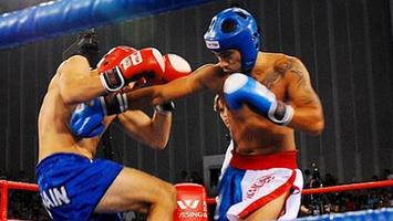 Learn Kick Boxing ภาพหน้าจอ 2