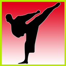 Learn Taekwondo APK